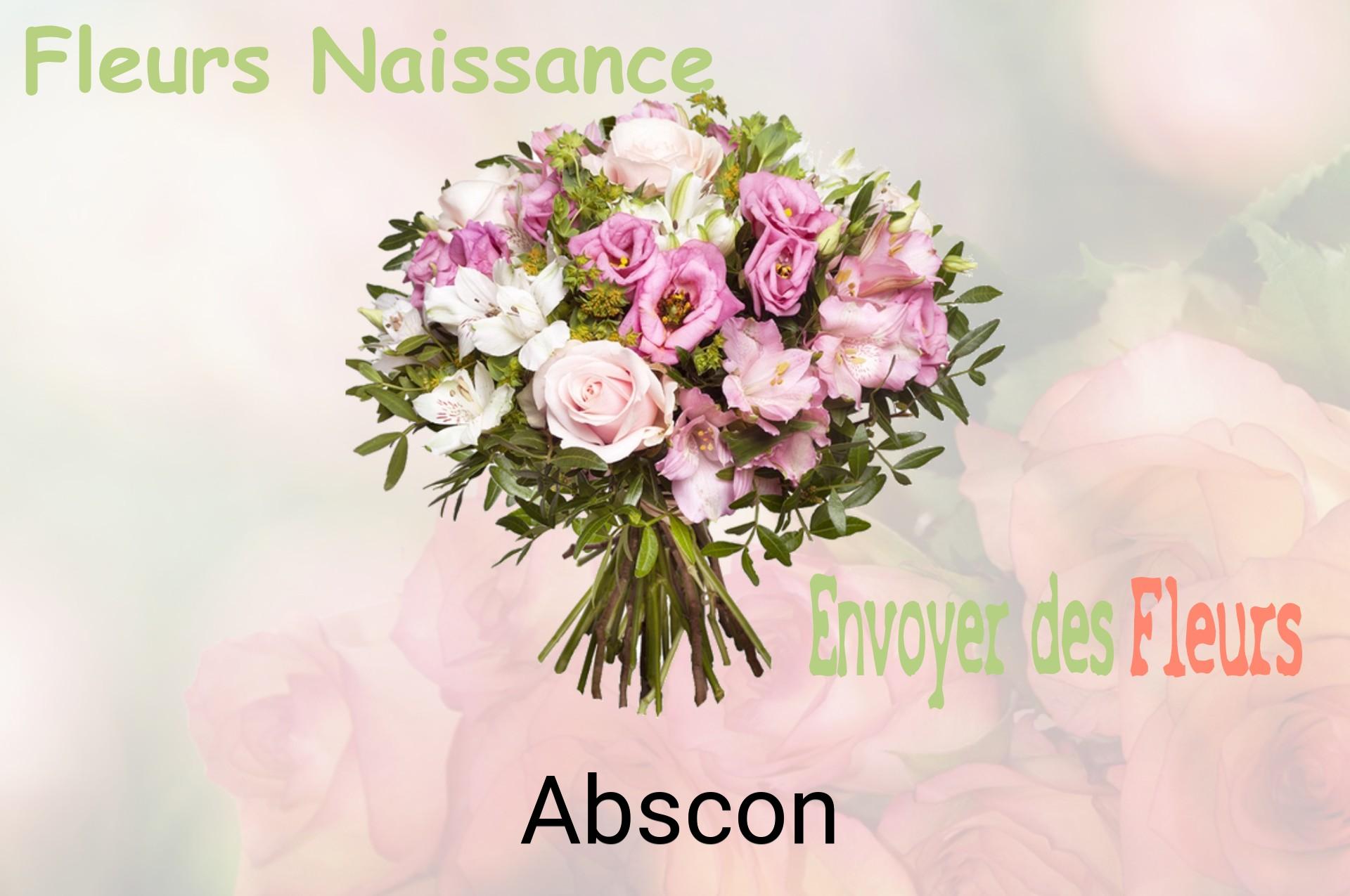 Bouquet de fleurs de naissance livré à Abscon